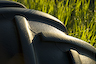 Thumbnail for gallery